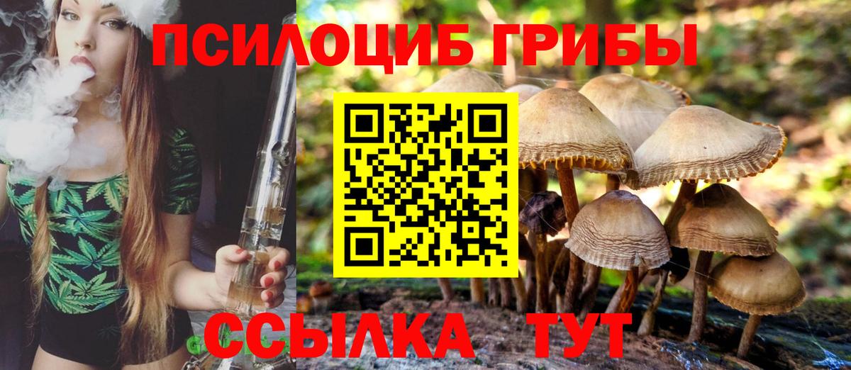 закладки  Вход с VPN  Сатка  Галлюциногенные грибы Cubensis 